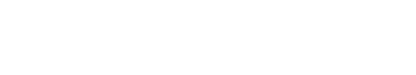 STEINIGER | law firm